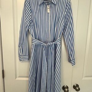 Talbots Blue and White Striped Dress